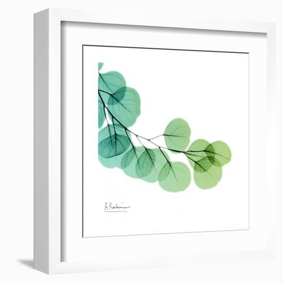 Eucalyptus Green-Albert Koetsier-Framed Art Print