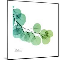 Eucalyptus Green-Albert Koetsier-Mounted Art Print