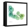 Eucalyptus Green-Albert Koetsier-Framed Stretched Canvas