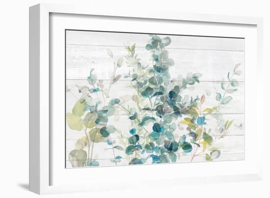 Eucalyptus I on Shiplap Crop-Danhui Nai-Framed Art Print