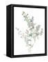 Eucalyptus II White-Danhui Nai-Framed Stretched Canvas