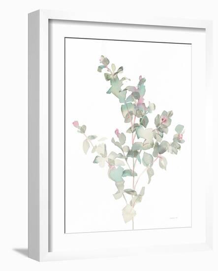 Eucalyptus II White-Danhui Nai-Framed Art Print