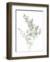 Eucalyptus II White-Danhui Nai-Framed Art Print