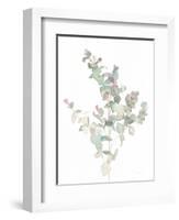 Eucalyptus II White-Danhui Nai-Framed Art Print