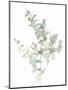 Eucalyptus II White-Danhui Nai-Mounted Art Print