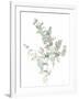 Eucalyptus II White-Danhui Nai-Framed Art Print