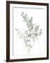 Eucalyptus II White-Danhui Nai-Framed Art Print