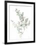 Eucalyptus II White-Danhui Nai-Framed Art Print