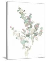 Eucalyptus II White-Danhui Nai-Stretched Canvas