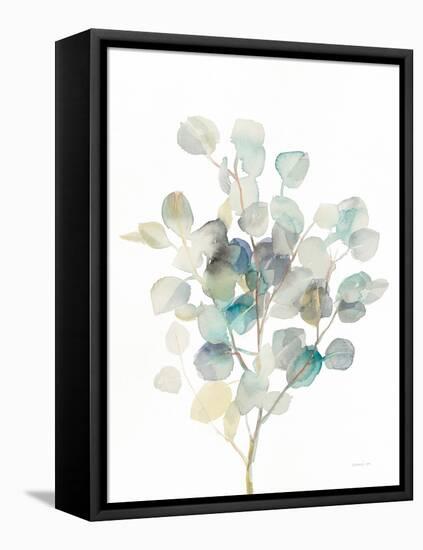 Eucalyptus III White-Danhui Nai-Framed Stretched Canvas