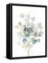 Eucalyptus III White-Danhui Nai-Framed Stretched Canvas