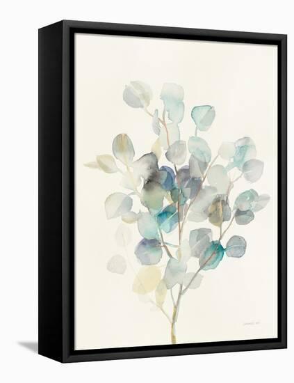 Eucalyptus III-Danhui Nai-Framed Stretched Canvas