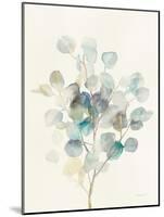 Eucalyptus III-Danhui Nai-Mounted Art Print