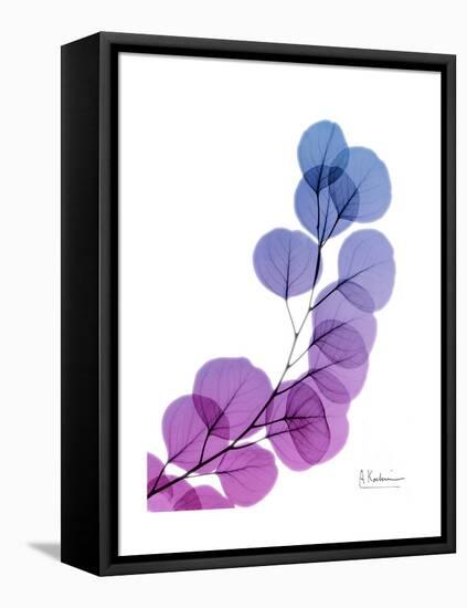 Eucalyptus in Purp-Albert Koetsier-Framed Stretched Canvas