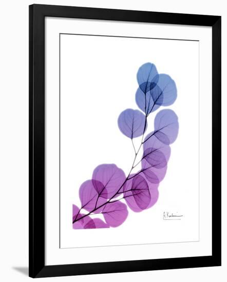 Eucalyptus in Purp-Albert Koetsier-Framed Premium Giclee Print