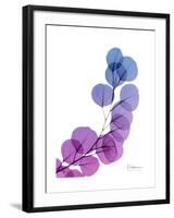 Eucalyptus in Purp-Albert Koetsier-Framed Premium Giclee Print