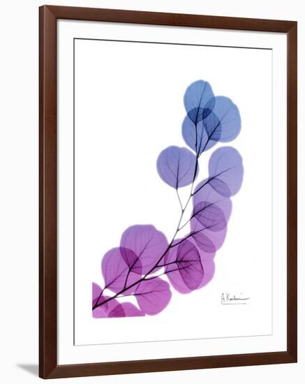 Eucalyptus in Purp-Albert Koetsier-Framed Premium Giclee Print