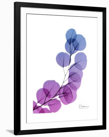 Eucalyptus in Purp-Albert Koetsier-Framed Premium Giclee Print