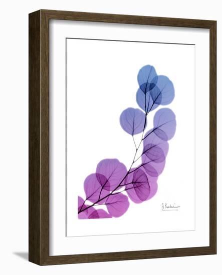 Eucalyptus in Purp-Albert Koetsier-Framed Premium Giclee Print