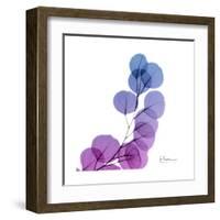 Eucalyptus in Purp-Albert Koetsier-Framed Art Print