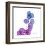 Eucalyptus in Purp-Albert Koetsier-Framed Art Print