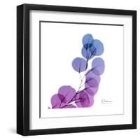 Eucalyptus in Purp-Albert Koetsier-Framed Art Print