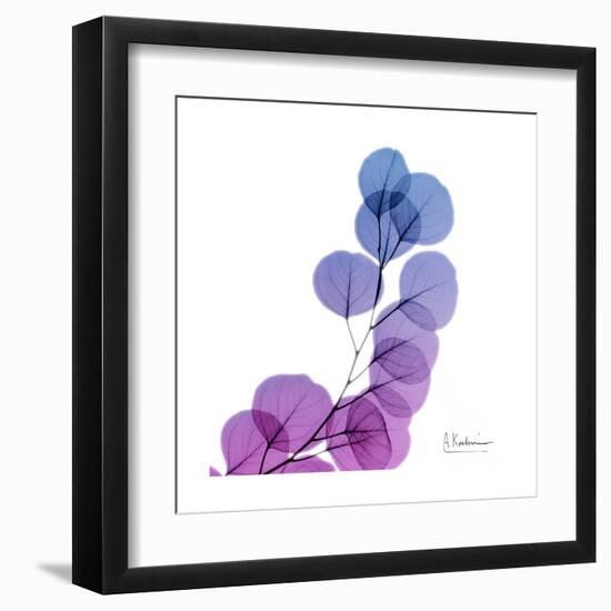 Eucalyptus in Purp-Albert Koetsier-Framed Art Print