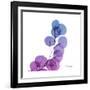 Eucalyptus in Purp-Albert Koetsier-Framed Art Print