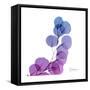 Eucalyptus in Purp-Albert Koetsier-Framed Stretched Canvas