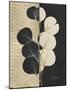 Eucalyptus Invert-Albert Koetsier-Mounted Art Print