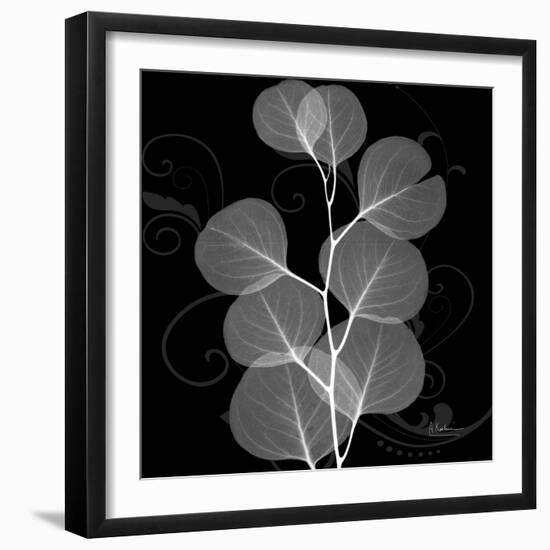 Eucalyptus Leaf Xray-Albert Koetsier-Framed Art Print