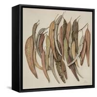 Eucalyptus Leaves, 2004-Jenny Barron-Framed Stretched Canvas