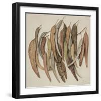 Eucalyptus Leaves, 2004-Jenny Barron-Framed Giclee Print