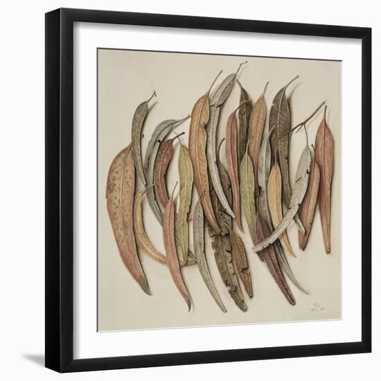 Eucalyptus Leaves, 2004-Jenny Barron-Framed Giclee Print