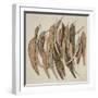 Eucalyptus Leaves, 2004-Jenny Barron-Framed Giclee Print