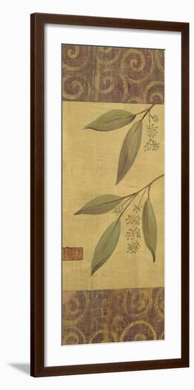 Eucalyptus Leaves II-Gayle Bighouse-Framed Art Print