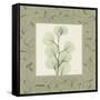 Eucalyptus Mat 1-Albert Koetsier-Framed Stretched Canvas