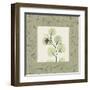 Eucalyptus Mat 2-Albert Koetsier-Framed Art Print