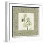 Eucalyptus Mat 2-Albert Koetsier-Framed Art Print