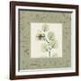 Eucalyptus Mat 2-Albert Koetsier-Framed Art Print