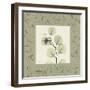 Eucalyptus Mat 2-Albert Koetsier-Framed Art Print