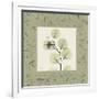 Eucalyptus Mat 2-Albert Koetsier-Framed Art Print