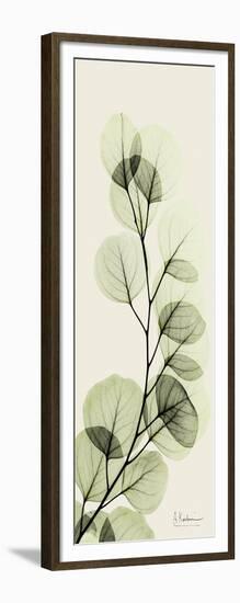 Eucalyptus Moment-Albert Koetsier-Framed Art Print
