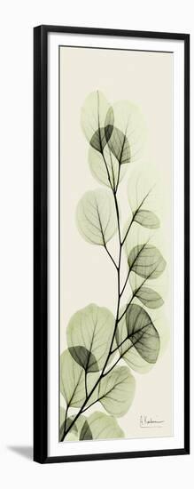 Eucalyptus Moment-Albert Koetsier-Framed Art Print