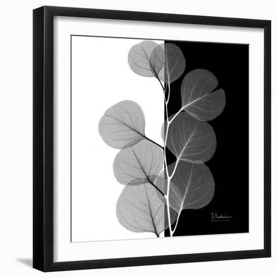 Eucalyptus on Black and White-Albert Koetsier-Framed Art Print