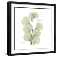 Eucalyptus Serenity-Albert Koetsier-Framed Premium Giclee Print