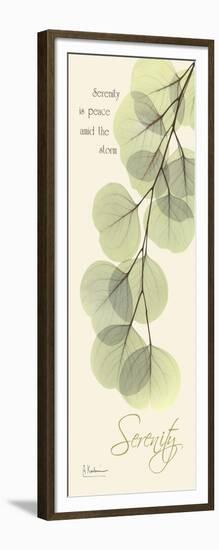 Eucalyptus Serenity-Albert Koetsier-Framed Art Print