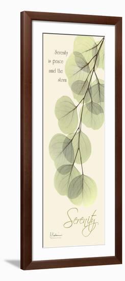 Eucalyptus Serenity-Albert Koetsier-Framed Art Print