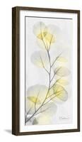 Eucalyptus Sunshine 1-Albert Koetsier-Framed Photographic Print