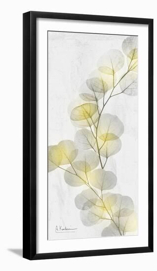 Eucalyptus Sunshine 2-Albert Koetsier-Framed Premium Photographic Print
